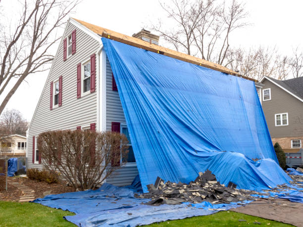 Best Storm Damage Siding Repair  in Plains, KS